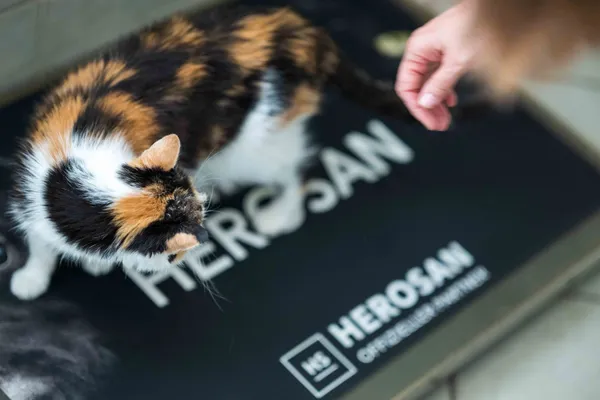 Dreifarbige Katze auf einer Herosan-Partner-Matte