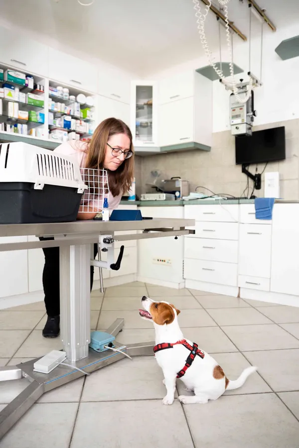 Tierärztin beugt sich zu einem kleinen Hund neben dem Untersuchungstisch